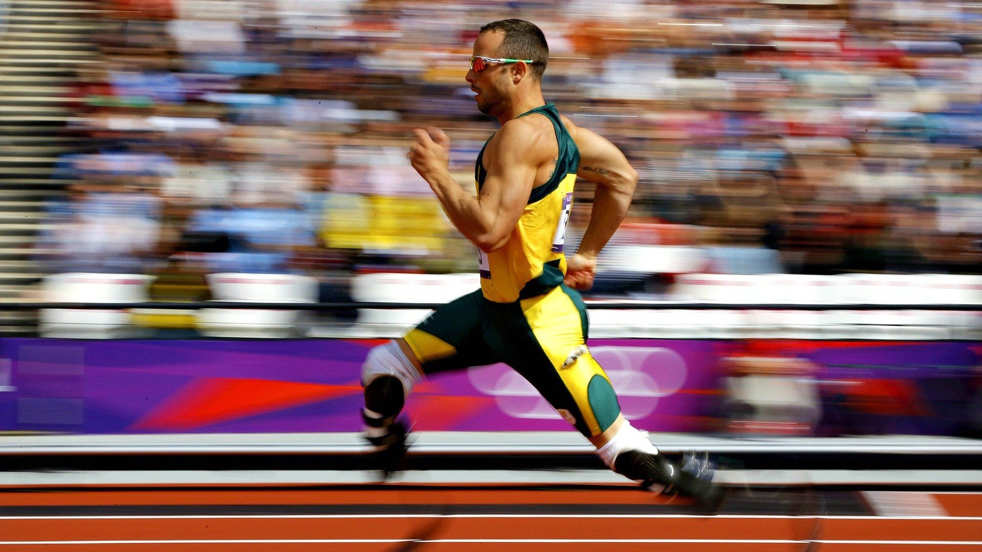 乐鱼电竞在线平台登录入口-200蝶节奏曲线首次公开